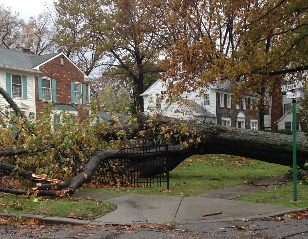Storm Damage