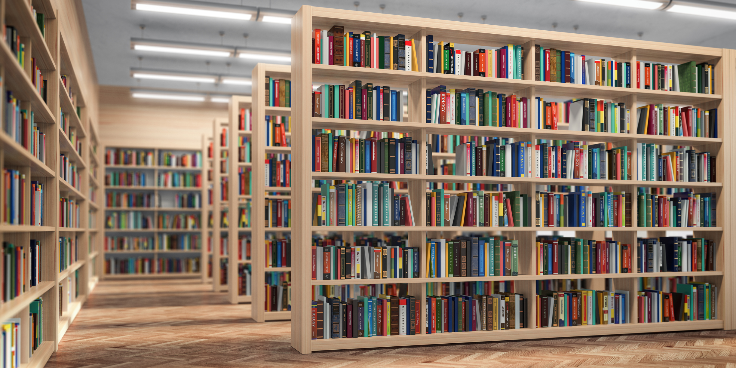 Library. Bookshelves with books and textbooks. Learning and education concept. (iStock)       